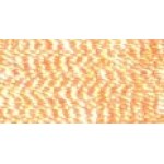 PF169 coral reef