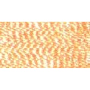 PF169 coral reef